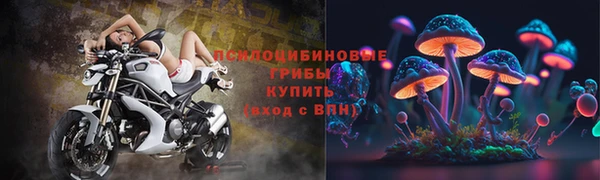 винт Аркадак