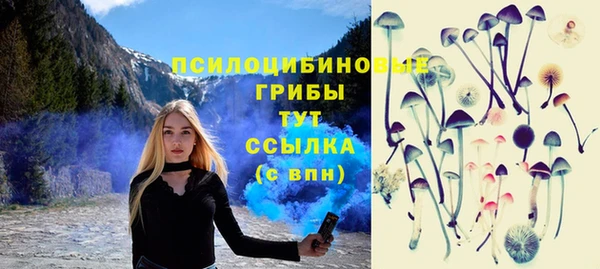 кокс Алексин