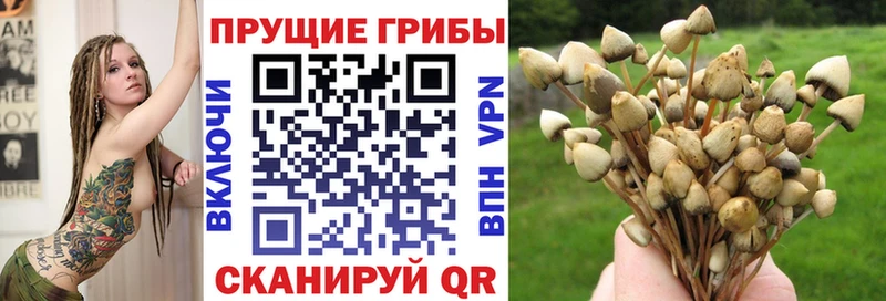 Галлюциногенные грибы мицелий  Новомосковск 